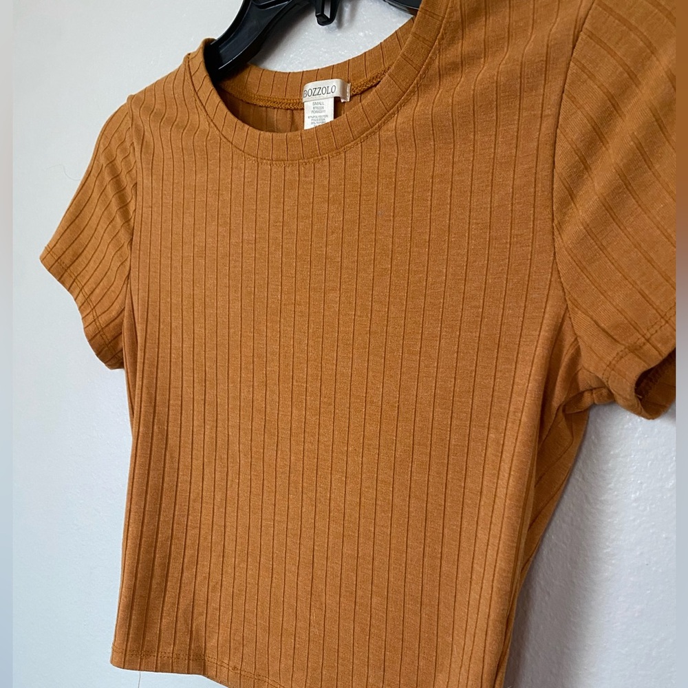 Bozzolo Ribbed orange Brown Crop Top